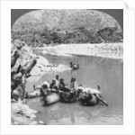Inflated bullock skins used as ferry boats on the Sutlej River, Punjab, India by Anonymous