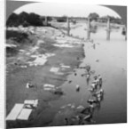 Dbobies washing clothes in the Goomti River, near Lucknow, India by Underwood & Underwood