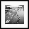 Dbobies washing clothes in the Goomti River, near Lucknow, India by Underwood & Underwood