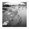 Dbobies washing clothes in the Goomti River, near Lucknow, India by Underwood & Underwood
