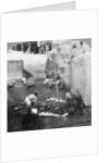Bathing and burning the Hindu dead, Benares (Varanasi), India 1903 by Underwood & Underwood