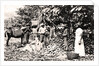 Opening cocoa pods, Trinidad, Trinidad and Tobago by Strong