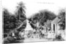 On the road to Blue Hills, Bahamas by Anonymous
