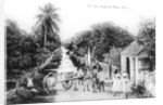 On the road to Blue Hills, Bahamas by Anonymous