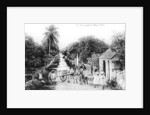 On the road to Blue Hills, Bahamas by Anonymous