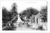 On the road to Blue Hills, Bahamas by Anonymous
