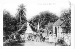 On the road to Blue Hills, Bahamas by Anonymous