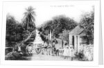 On the road to Blue Hills, Bahamas by Anonymous