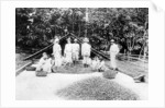 Drying cocoa, Trinidad by Anonymous