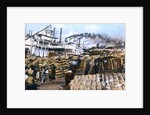 Loading cotton onto a ship, Memphis, Tennessee, USA by Anonymous