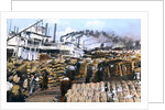 Loading cotton onto a ship, Memphis, Tennessee, USA by Anonymous