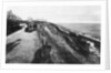 West Cliff and gardens, Felixstowe, Suffolk by Anonymous