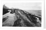 West Cliff and gardens, Felixstowe, Suffolk by Anonymous