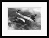 Gloster Meteor by Anonymous