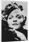 Marlene Dietrich (1901-1992), German-born American actress, singer and entertainer by Anonymous