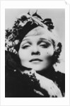 Marlene Dietrich (1901-1992), German-born American actress, singer and entertainer by Anonymous