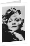 Marlene Dietrich (1901-1992), German-born American actress, singer and entertainer by Anonymous