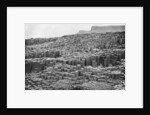 The Giant's Causeway, County Antrim, Northern Ireland by Anonymous