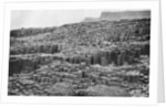 The Giant's Causeway, County Antrim, Northern Ireland by Anonymous