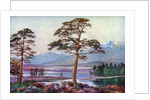 'On Loch Tulla, Black Mount, Argyllshire', Scotland by FC Varley