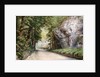 'Stony Middleton', Derbyshire by Felix Harrand