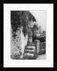 A cottage with an ancient 'upping stock', Cockington, Devon by HJ Smith