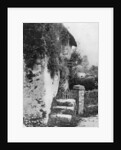 A cottage with an ancient 'upping stock', Cockington, Devon by HJ Smith