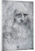 Self Portrait of Leonardo da Vinci by Leonardo Da Vinci