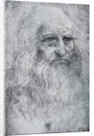 Self Portrait of Leonardo da Vinci by Leonardo Da Vinci