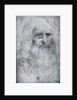 Self Portrait of Leonardo da Vinci by Leonardo Da Vinci