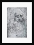 Self Portrait of Leonardo da Vinci by Leonardo Da Vinci