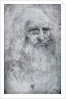 Self Portrait of Leonardo da Vinci by Leonardo Da Vinci