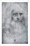 Self Portrait of Leonardo da Vinci by Leonardo Da Vinci