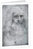 Self Portrait of Leonardo da Vinci by Leonardo Da Vinci