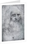 Self Portrait of Leonardo da Vinci by Leonardo Da Vinci