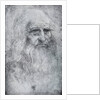 Self Portrait of Leonardo da Vinci by Leonardo Da Vinci