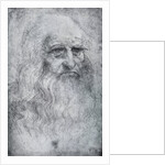 Self Portrait of Leonardo da Vinci by Leonardo Da Vinci