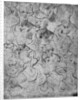Studies for a half length female figure by Leonardo Da Vinci