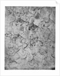 Studies for a half length female figure by Leonardo Da Vinci
