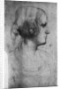 Portrait study of a young girl's head by Leonardo Da Vinci