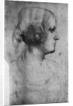 Portrait study of a young girl's head by Leonardo Da Vinci