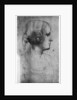 Portrait study of a young girl's head by Leonardo Da Vinci