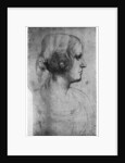 Portrait study of a young girl's head by Leonardo Da Vinci
