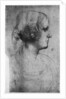 Portrait study of a young girl's head by Leonardo Da Vinci
