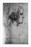 Portrait study of a young girl's head by Leonardo Da Vinci