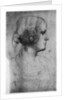 Portrait study of a young girl's head by Leonardo Da Vinci