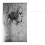 Portrait study of a young girl's head by Leonardo Da Vinci