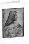 Portrait of Isabella d'Este by Leonardo Da Vinci