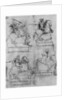 Studies for the Sforza Monument by Leonardo Da Vinci