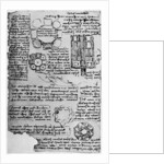 Sketch for Romorantin Castle by Leonardo Da Vinci